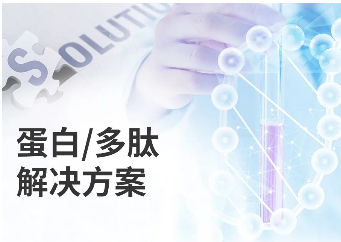 教育科研特色技術(shù)之【生命科學(xué)篇】（三） 蛋白/多肽