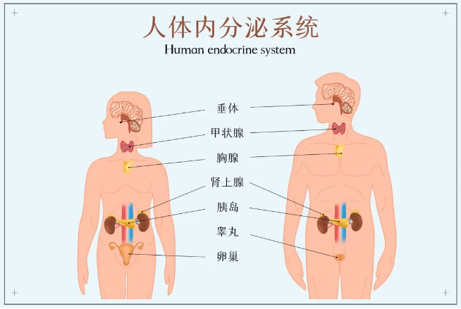 劍指水質(zhì)典型環(huán)境激素，助力新污染物監(jiān)測治理